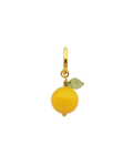 ORANGE hoop, 1 stk.