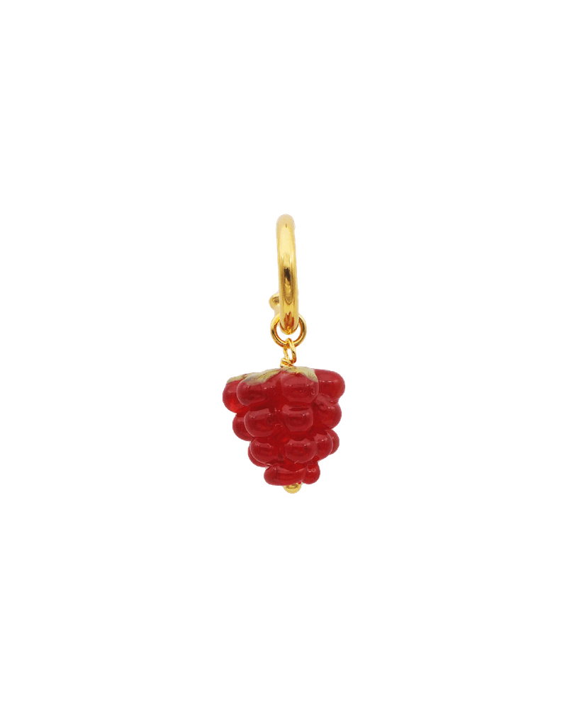 RAD RASPBERRY, hoop