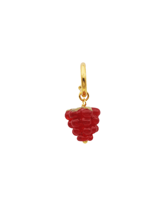 RAD RASPBERRY, hoop